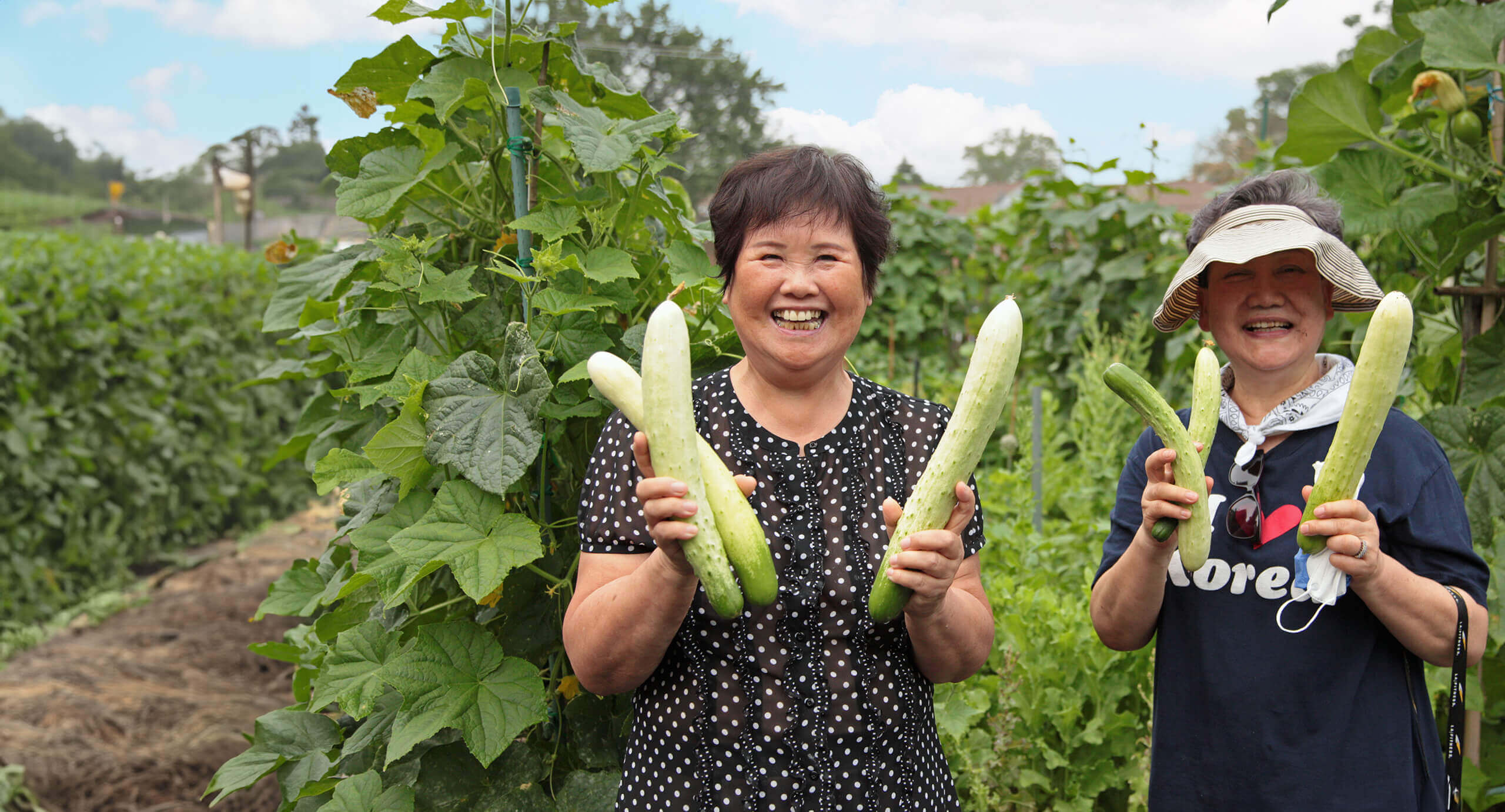 Region Nine Housing Corporation community garden program - non-profit portal case study by Sussman Creative